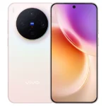 vivo X300